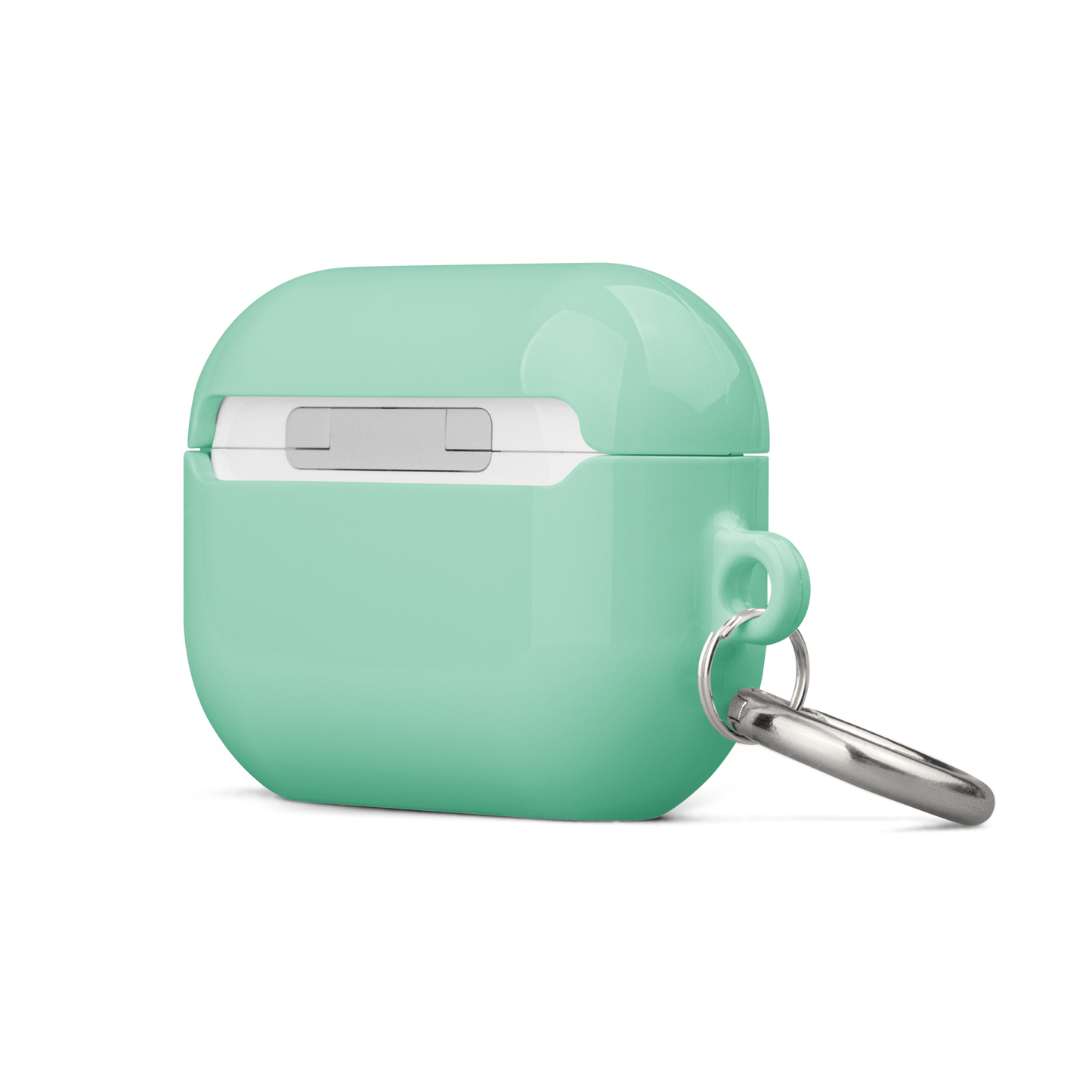 Pastel Mint Airpods Case